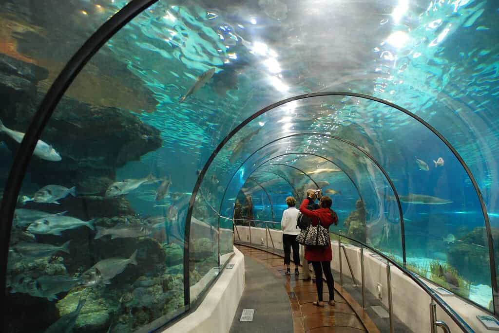 barcelona aquarium